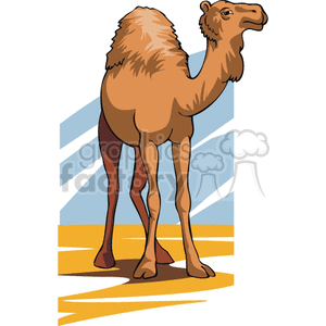 The clipart image shows a realistic vector illustration of a camel standing facing you, with its head to the right. It has sand below it