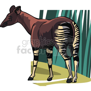 Okapi