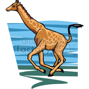 Giraffe running