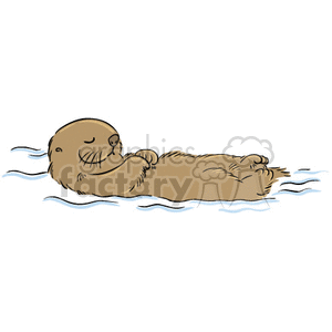 Otter floating in the water