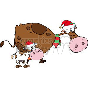 A humorous clipart image of two cartoon cows wearing Santa hats, with one cow also wearing a red and green striped scarf, celebrating the holiday season.