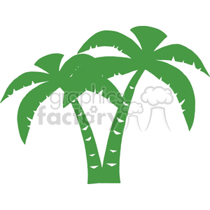 two green palm trees