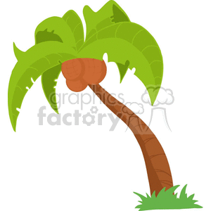 single palm tree