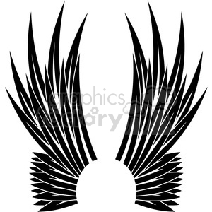 Stylized Black and White Wings