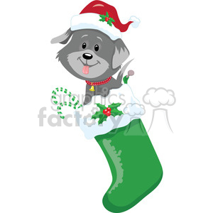   puppy in a stocking 