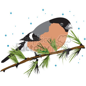 Clipart of a bullfinch bird perched on a pine branch with a snowy background.