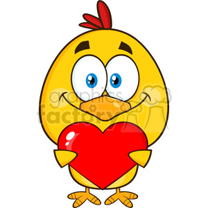 cute yellow chick cartoon character holding valentine love heart vector illustration isolated on white