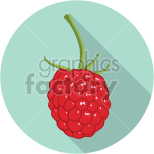 raspberry on circle background flat icon clip art