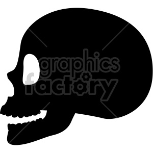 skull profile