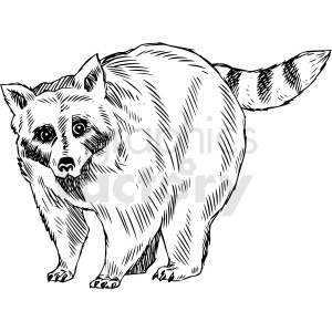 The clipart image displays a black and white illustration of a raccoon.