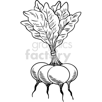A black and white clipart image of three radishes with leaves still attached.