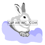 Animated wiggly eared bunny