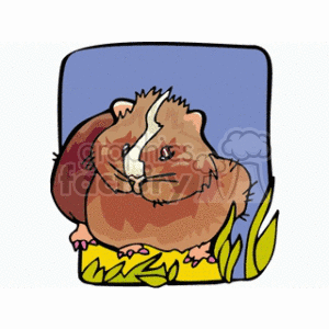 The image is a piece of clipart that features a brown and white furry guinea pig with a stripe. The guinea pig is sitting on grass and appears to be in a content or relaxed pose. The background is a simple blue square. 