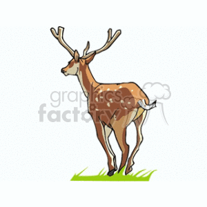 The image contains a drawing of a brown deer with white spots and antlers positioned as if it's in motion, likely running or about to run. It's depicted standing on a simple patch of green, which suggests grass.