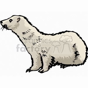 The clipart image depicts a white, illustrated ferret in a side profile pose. It shows the characteristic long, slender body of the ferret with a short coat and the distinctive facial features.