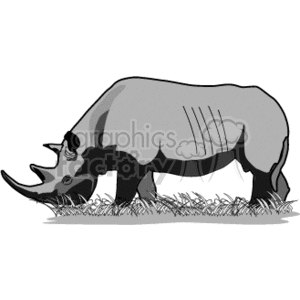 Rhinoceros - Stylized Black and White Rhino