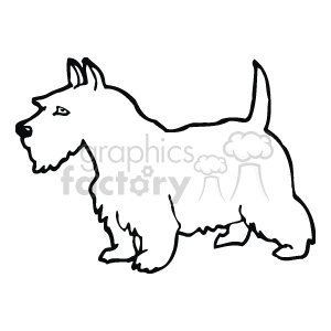 The image is of an outline of a Schnauzer dog. It has its tail pointed upright and is slightly leaning forward