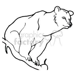 Line art of a Brown bear sitting on a branch