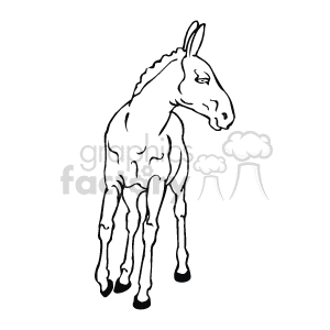 The line art drawing shows a donkey that appears to be on mud or sand. It is facing towards you, with its head turned to your right