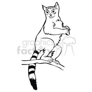 The clipart image shows a lemur, an animal commonly found in the wild and zoos , sitting on a tree branch looking at you, standing upright
