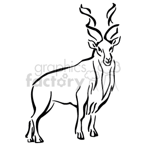 Black and white antelopes drawing