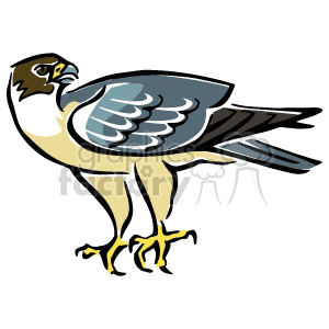 The image is a stylized clipart of a hawk. This bird of prey is depicted standing with its wings partly tucked in and appears to be in a profile view, showing its sharp beak and talons.