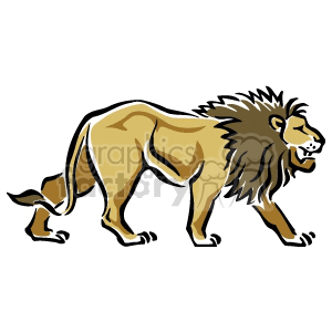 Lion