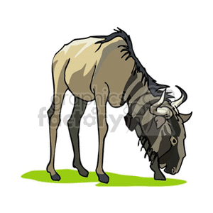 The clipart image shows a stylized illustration of a wildebeest (also known as a gnu) standing on a patch of grass.