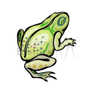 The clipart image depicts a stylized illustration of a frog, likely intended to represent a bullfrog, from a side profile perspective. The frog is shown with characteristic amphibian features such as a greenish skin with spots, large eyes, long hind legs, and a visible underbelly.