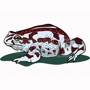 This clipart image shows a stylized representation of a frog. The frog is primarily brown with white underparts and is adorned with darker brown spots. It appears to be sitting on a green surface which might suggest a lily pad or a patch of grass. The background of the image is a plain, light blue, possibly implying a watery or sky background.
