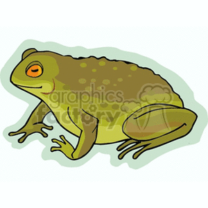 The clipart image shows a stylized depiction of a frog with notable features such as a green coloration, warty texture, and an orange eye, which are commonly associated with certain species of frogs or toads such as bullfrogs.