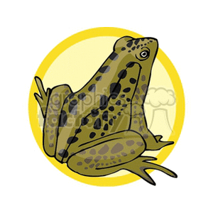 The image is a clipart illustration of a frog with a mottled brown and green coloration and dark spots. It is depicted against a yellow circular background, which could suggest a simplified representation of the sun or a spotlight. There is no visible water in the image, but the frog clearly represents an amphibian which is typically associated with wet environments.