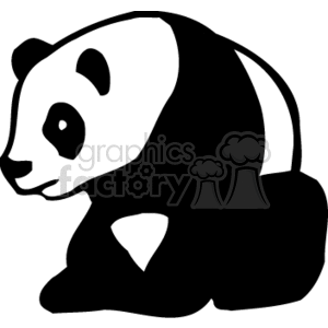 Left facing seated Great Panda