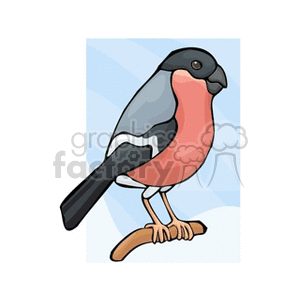 A colorful clipart illustration of a bullfinch perched on a branch. The bird has a pinkish-red breast, grayish wing feathers, and a black head.