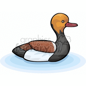 A colorful clipart image of a duck swimming on water. The duck has a black neck, brown and white body, and an orange head with a red beak.