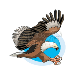 Clipart image of an eagle flying with wings spread and talons extended against a blue circular background.