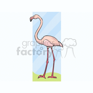 A clipart image of a standing flamingo with a light pink body and long legs.