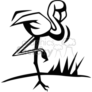 Black and white image of flamingo standing on one leg