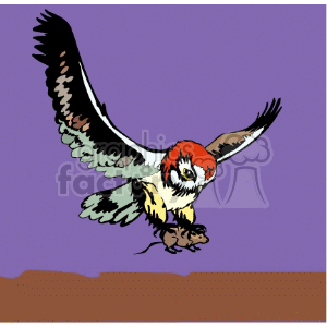 Red crested owl