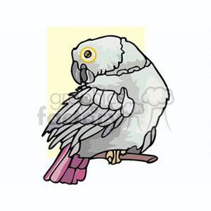 A colorful clipart image of a parrot perched on a branch, featuring vibrant pink feathers and a yellow eye.
