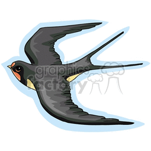 Clipart image of a black and gray bird in flight, likely a swallow or swift, with wings spread and detailed feather patterns.