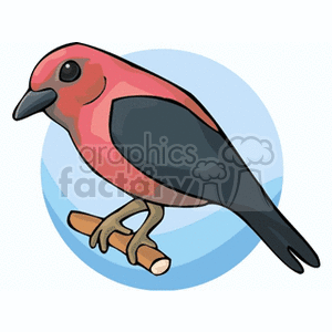 A colorful clipart image of a bird with red and black feathers perched on a branch, set against a circular blue background.