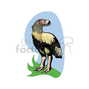 Clipart image of a prehistoric bird standing on grass, against a light blue background.