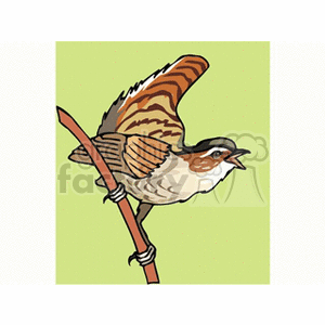 Clipart image of a small bird with brown and white feathers perched on a branch, with its wings slightly open against a green background.