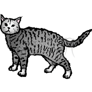 The clipart image shows a gray tabby cat standing and facing towards the left side. The cat has black stripes and spots on its fur, pointy ears, green eyes, and a black nose.
