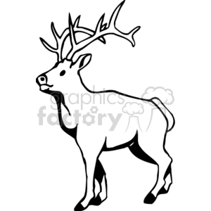 The image is a black and white line art illustration of a deer, specifically a buck with a prominent set of antlers.