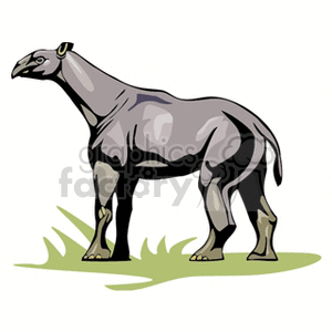 ancientrhinoceros