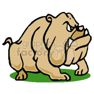 Cartoon Bulldog