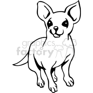 Chihuahua Image - Cute Cartoon Dog