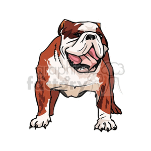 This clipart image features a drawing of a bulldog. The dog is depicted with its characteristic stout build, broad shoulders, and wrinkled face.